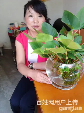 十六年老牌金牌月嫂,育婴师,保姆,钟点，陪护 - 图片 5