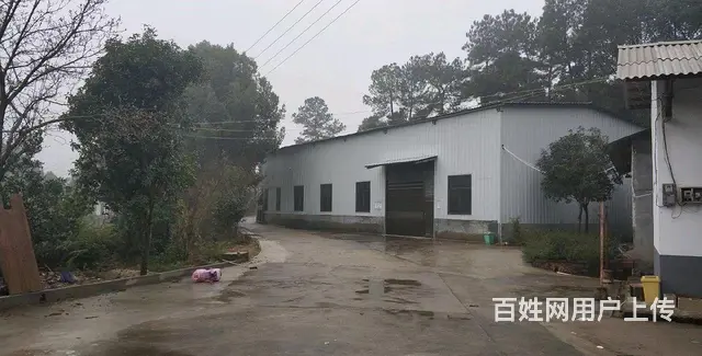 开福区捞刀河白霞村新建厂房低价仓库出租 - 图片 6