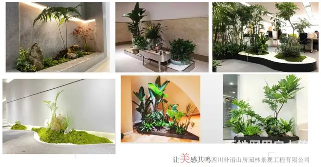 成都绿化养护 种植 专业园林公司 设计施工一体 - 图片 5
