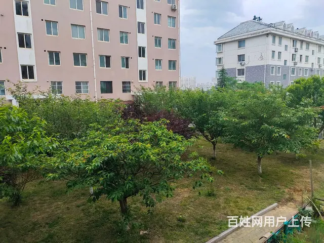 乳山银滩望海花园二手房2楼79平24万 - 图片 7