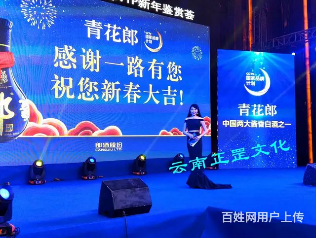 活动策划、展会搭建、灯光音响、LED屏、摄像、演出 - 图片 2