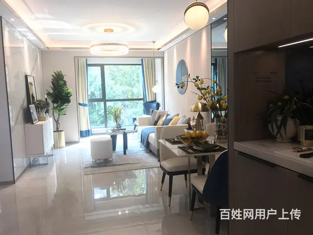 龙湖春江彼岸89两室两厅电梯洋房 - 图片 3
