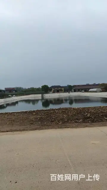 鸦雀岭厂房外加十五亩鱼塘出租 - 图片 3