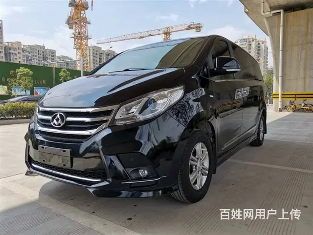 大通G10 2021款 2.0T 手动 智享版7座 - 图片 3