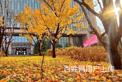 甘肃北方技工学校春季招生进行中 - 图片 2