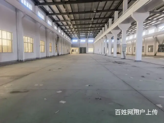 （房东直租）独门独院，单层厂房 - 图片 4