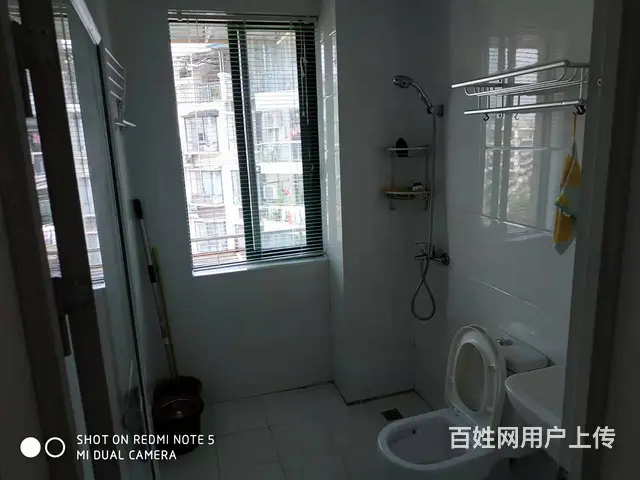 阳光绿水花园新安路4号 公寓1厅 精装修 - 图片 1