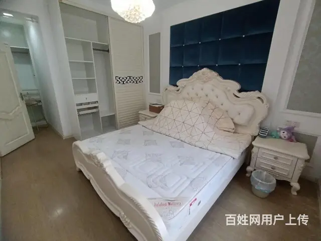 爆！昌江广场,四季春晖，电梯洋房  精装，1中,17小 - 图片 8