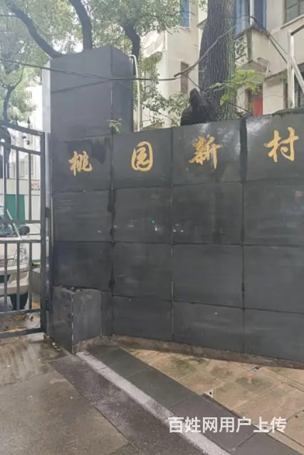 整租／桃园新村／楼层低采光足 - 图片 2