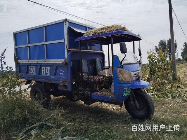 时风华庆三轮车 - 图片 2