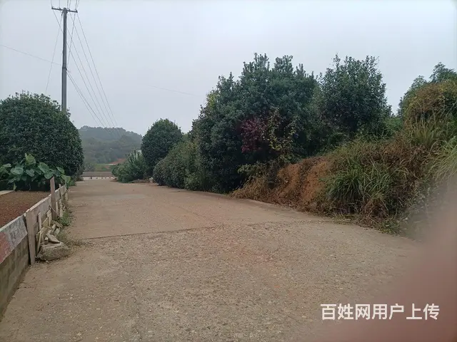房东仓库急租 - 图片 1