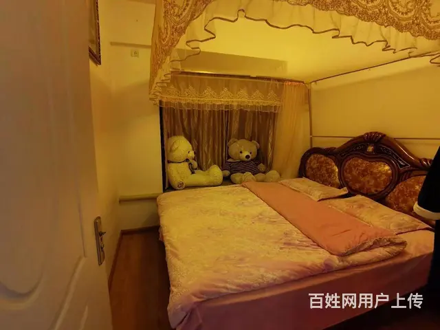 星耀地铁旁 新亚洲体育城星泽园2房精装修 带家具家 - 图片 4