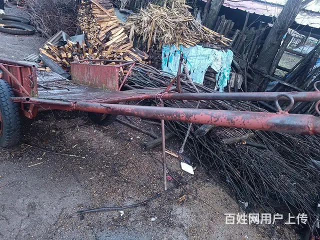 马车 - 图片 2