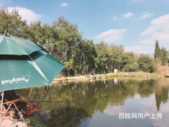 （51旺铺推荐）安宁5亩3个鱼塘转让 - 图片 2