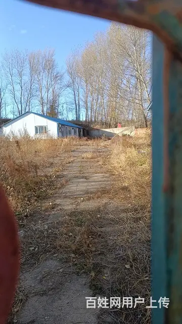 3600平土地厂房出租出售 - 图片 2