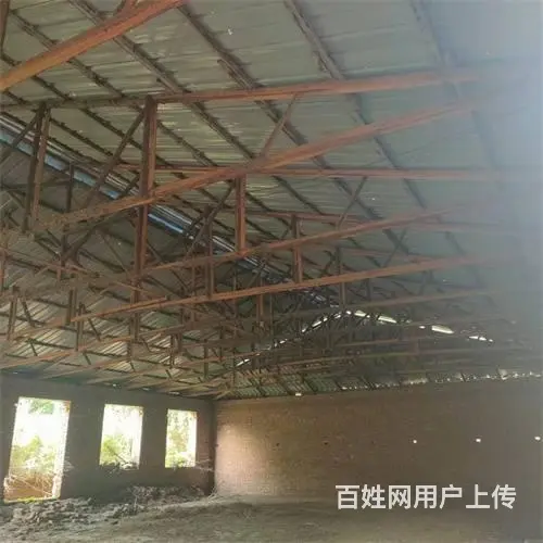 船营区西安路欢喜乡四队厂房出租出售 - 图片 7