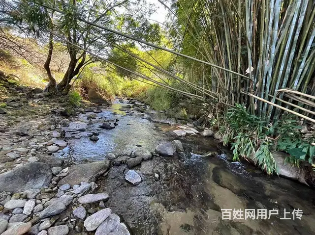 从化区良口镇旅游区溪水边3亩亩山地果园整体转让 - 图片 4