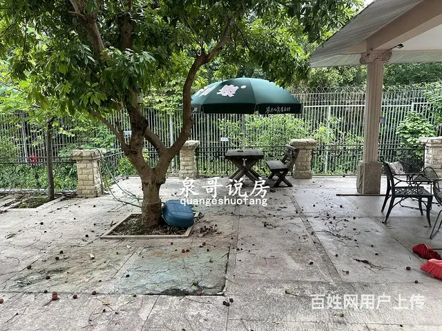 业主只租广东本地人 外地人一律不租 中空厅五个套房 - 图片 12