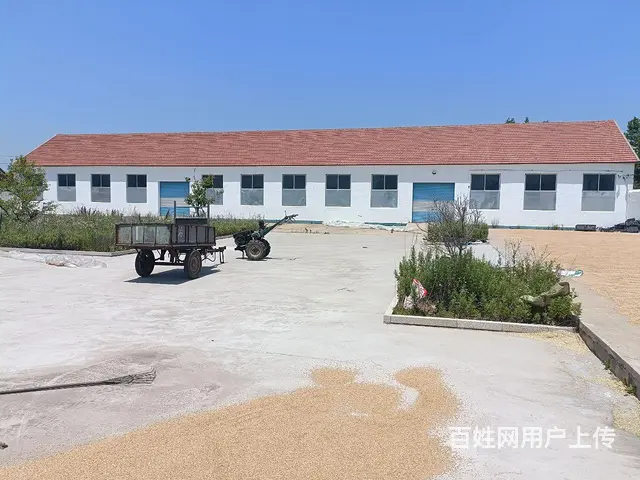 文登张家产厂房仓库出租独门独院 - 图片 6