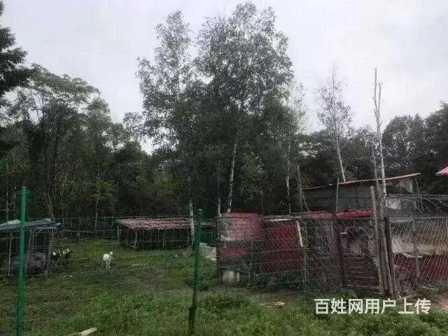 尚志市帽儿山度假山庄出售 - 图片 8