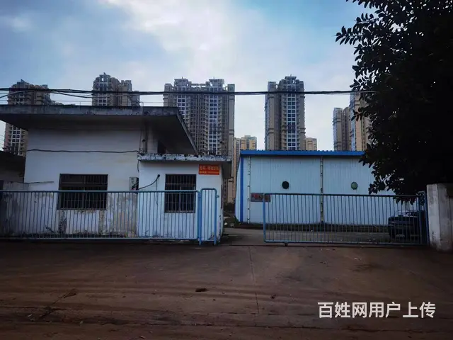 秀英区永桂路期货仓库400-18000平招租9米层高 - 图片 5