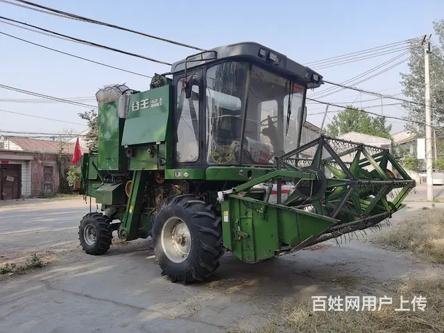 谷王60 - 图片 1