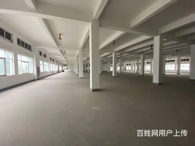 杭州滨江区小独栋办公室出租，6米层高，适合摄影直播 - 图片 5