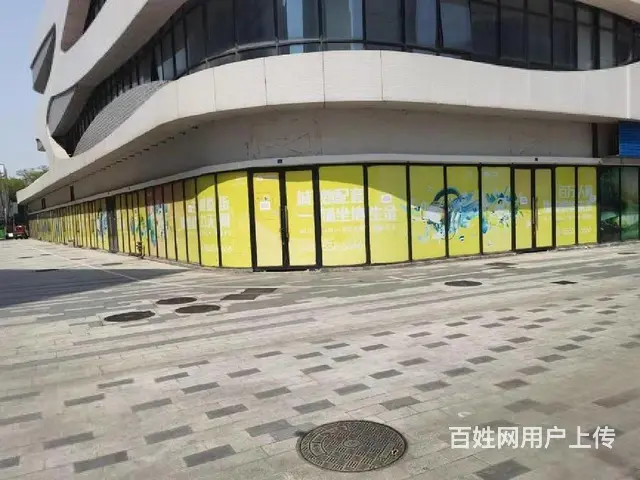 单价9转角商铺 20个车位 市中心送4套一楼商铺 沿街现铺 - 图片 6