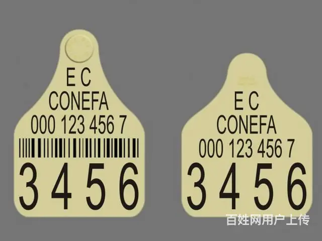 哈尔滨激光打标机销售|哈尔滨激光刻字|个性化刻字 - 图片 2