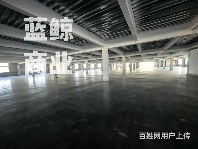 开发区2万平厂房可分组 - 图片 5