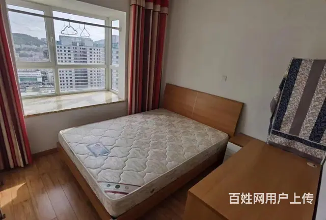 振华国际精装二室一厅南向好房出租了 - 图片 3