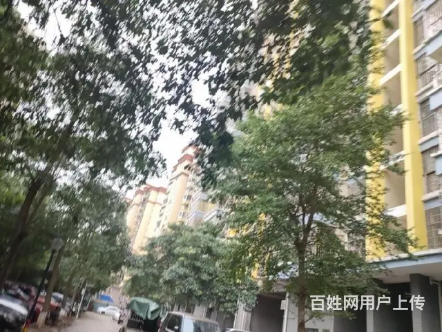 出售金鹿花园3房电梯房 - 图片 10