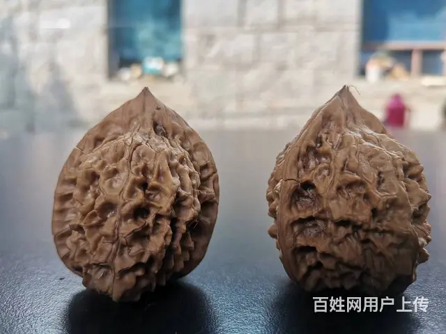文玩核桃 - 图片 3