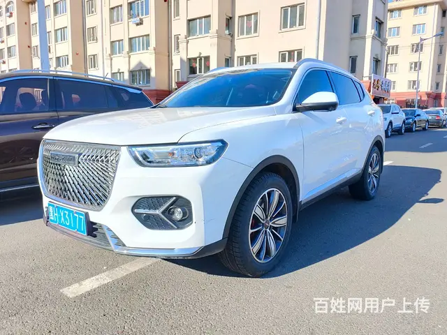 哈弗H6 2020款 1.5GDIT 双离合 铂金冠军版 - 图片 3