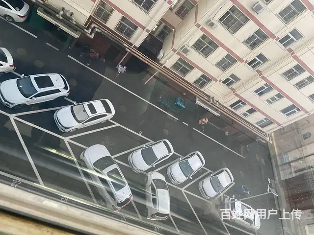 临西三路百合园小区3室厅精装修首次出租850元 - 图片 11