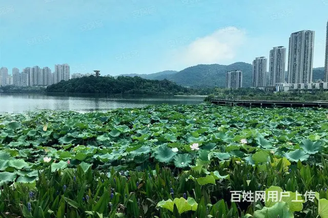 卓越浅水湾(梅溪湖) 3室1厅2卫复式公寓 精装修 拎包入住 - 图片 11