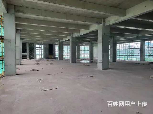 珠海唐家湾 独栋厂房2700平起 准现房 企业总部 独立产权 - 图片 9