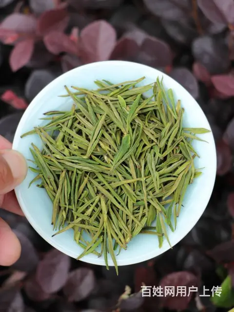 好茶要好肥 高品质油菜饼 安吉白茶直销 - 图片 5