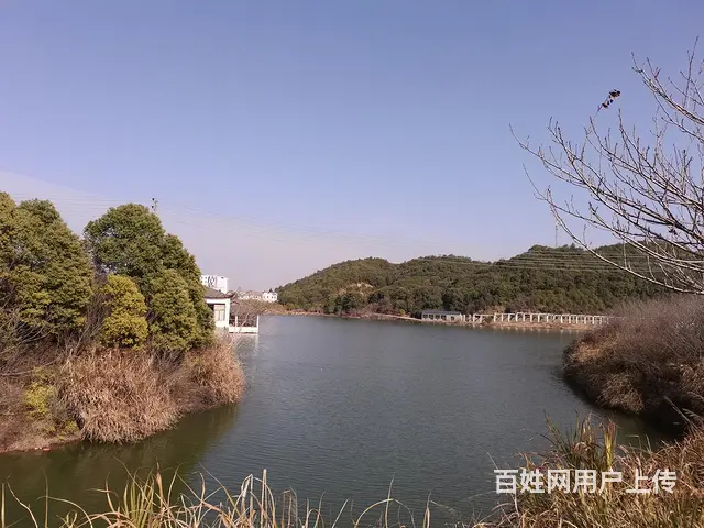 新客运站附近一楼60平转租8个月有床热水器有取暖有网3500 - 图片
