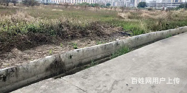 种植土地出租 - 图片 2