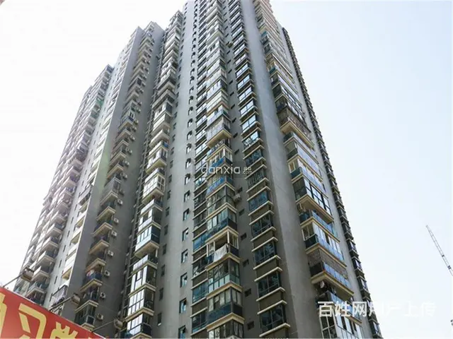 思北 禾祥首府 多套出租 朝南朝北 装修新天虹银行中心 - 图片 8