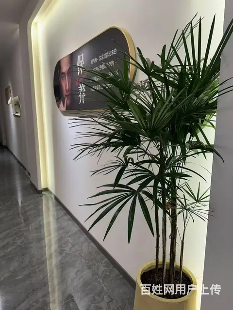 （徐州找店网）邳州新苏名苑美容院转让，接手即干，生源优质 - 图片 5