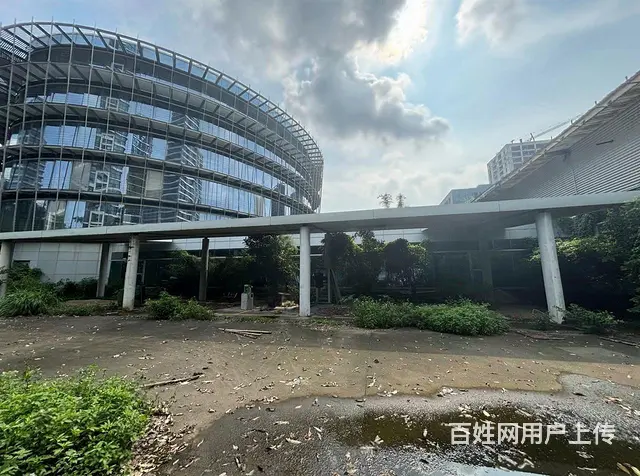 横琴独门独院厂房招租 空地1.7万平米 花园空地免 - 图片 7