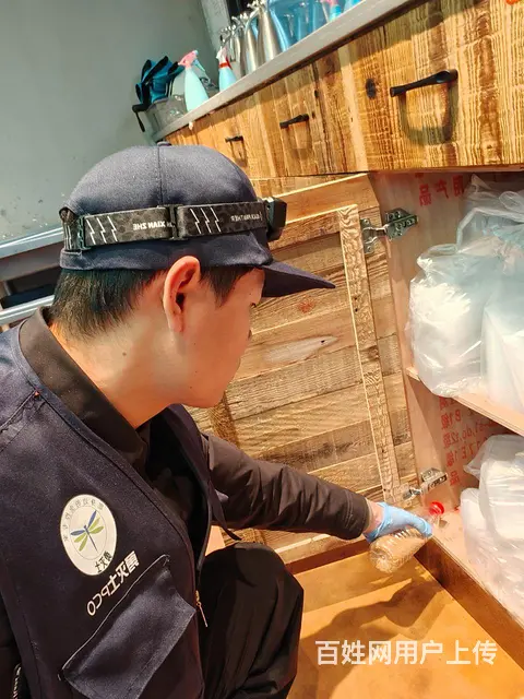 上门除虫灭鼠灭蟑螂灭白蚁抓老鼠 - 图片 6