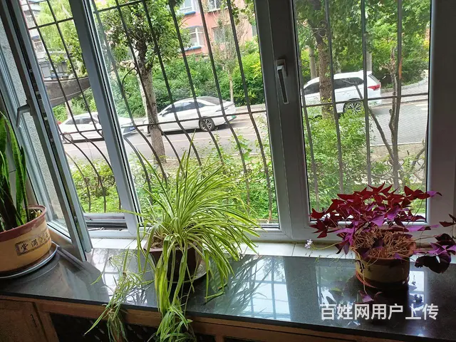 一环内学区好房 一楼可窗改门 - 图片 2