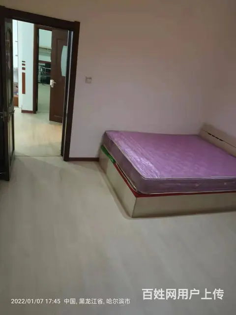 四季芳洲小区-南岗-学府四道街 普通住宅1厅 精装修 - 图片 4