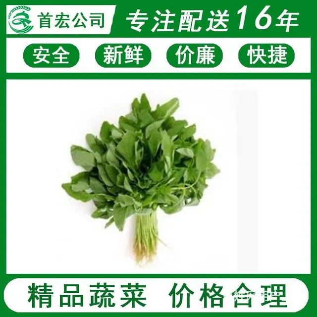 高埗新鲜蔬菜水果配送物流流程-首宏蔬菜配送公司 - 图片 6