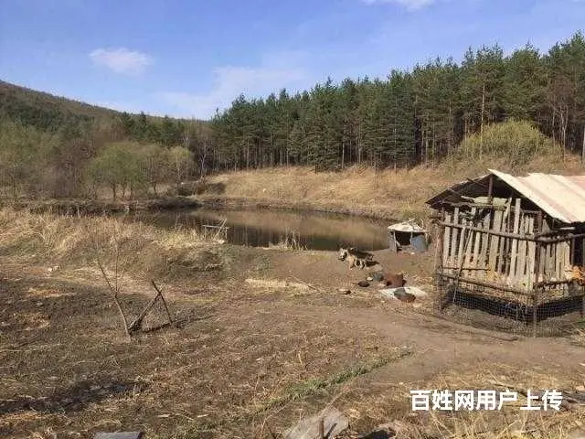 胜利林场鱼塘山庄出售 - 图片 12