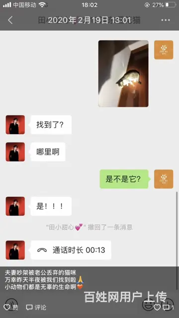 苏州猫咪丢了怎么找 专业找猫寻狗团队来帮你 - 图片 8