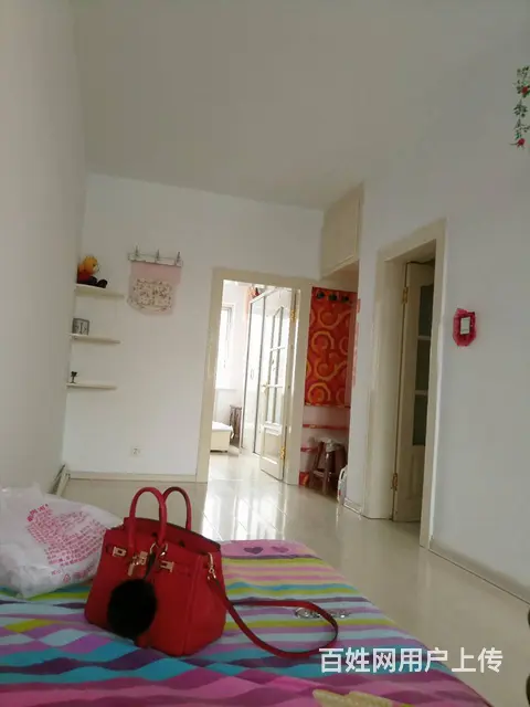 出租房屋，非诚勿扰 - 图片 6